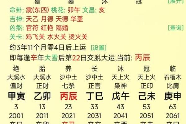 在线八字查询是童子命 要请师傅再看一次