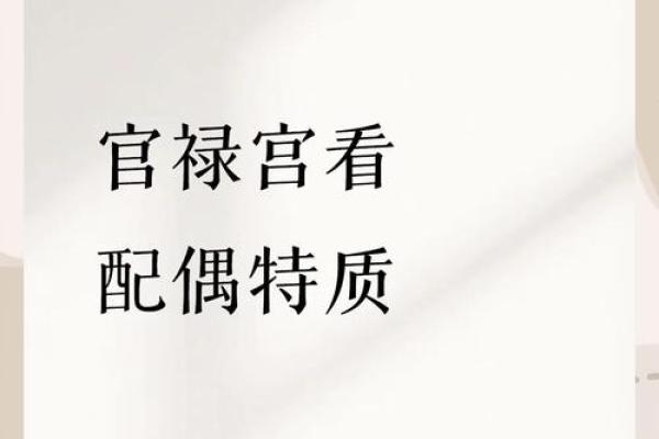 紫微斗数紫薇落官禄宫