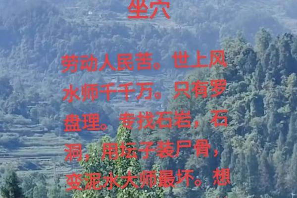 山顶老人的风水