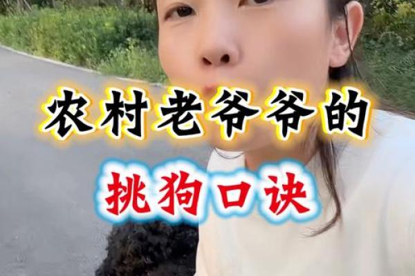 算命先生算狗在哪看