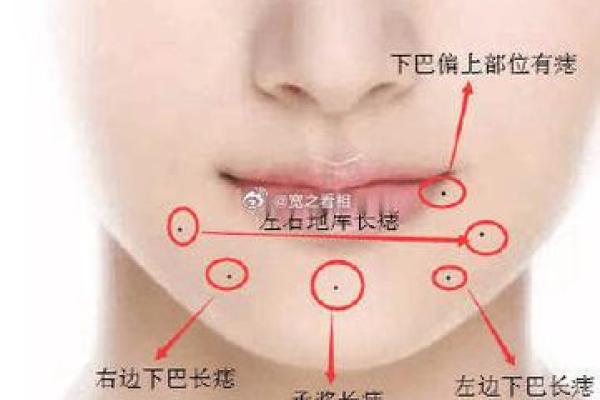 如何从下巴看相算命