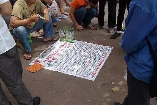 相面算命影视剧在线观看 相面算命影视剧在线观看