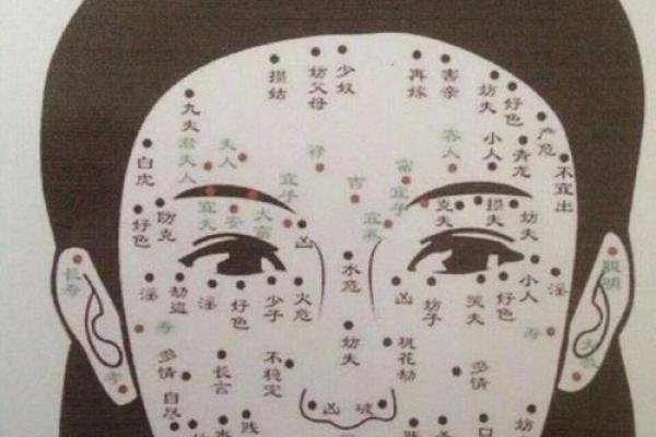 相面算命影视剧在线观看 相面算命影视剧在线观看