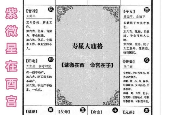 正语派紫微斗数紫薇篇 正语派紫微斗数紫薇篇