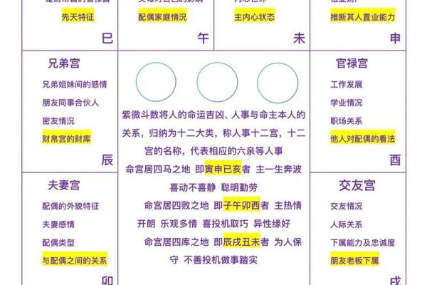 紫薇斗数要学多久