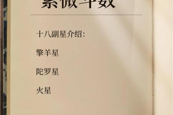 中国传统星象术紫薇斗数 中国传统星象术紫薇斗数