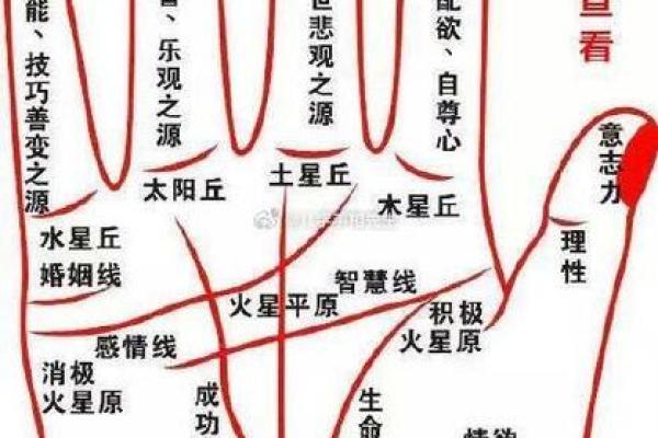女性手纹算命图解