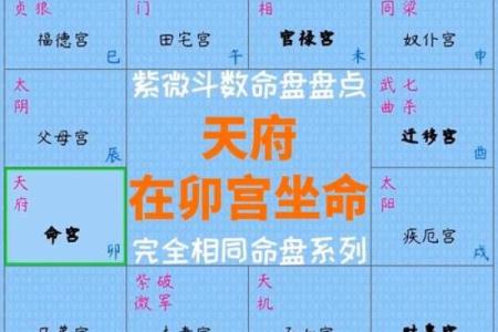 紫微斗数同盘不同运 紫微斗数基本盘相同的人？