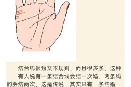 算命看手相算命图解 女性子女线