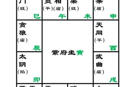 中国传统星象术紫薇斗数