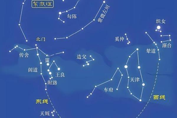 东有小山紫薇斗数7