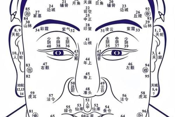 看头发面相知道运势 面相头发算命