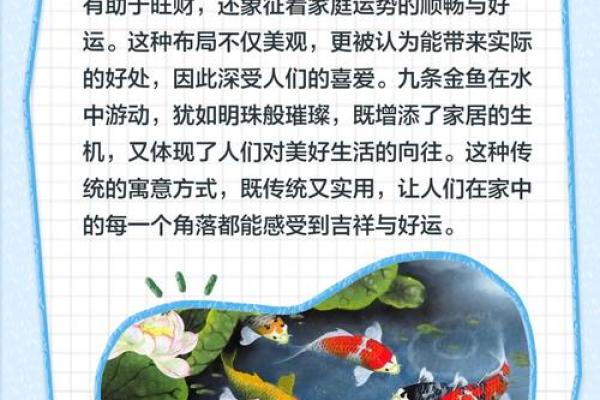 金鱼怎么养?养金鱼需要注意的风水 金鱼怎么养?养金鱼需要注意的风水