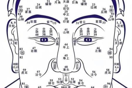 看头发面相知道运势 面相头发算命