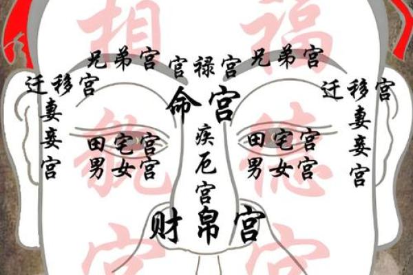 面相算命，让你分钟看透一个人