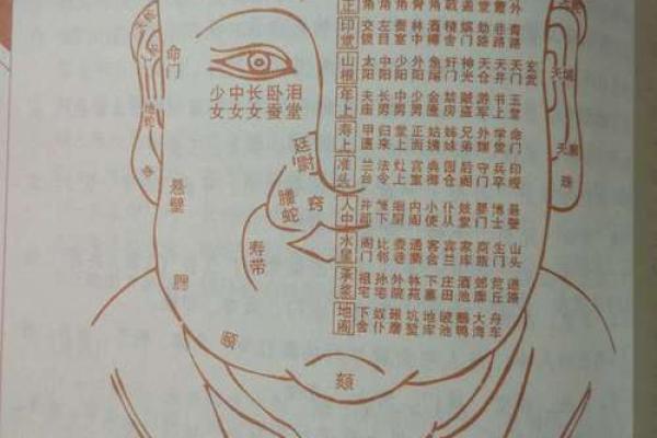 面相算命，让你分钟看透一个人