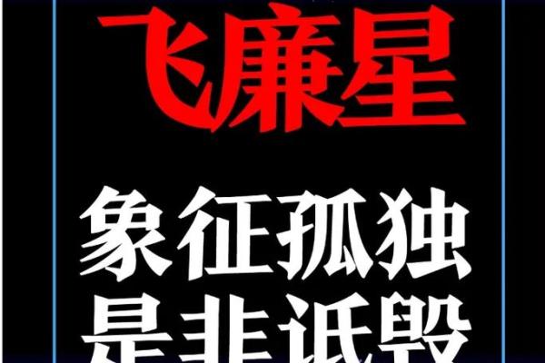 飞廉紫薇斗数流年 飞廉紫薇斗数流年