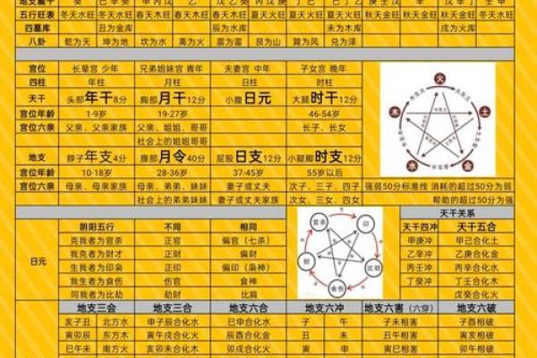 八字通根是什么意思 八字通根是啥意思 八字通根是什么意思 八字通根是啥意思