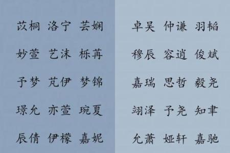 宝宝八字起名大全，猪宝宝最合适的名字推荐