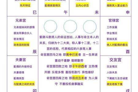 紫薇斗数命格详解