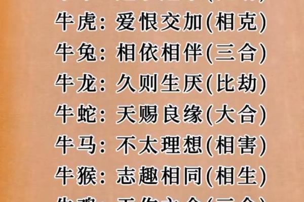 属龙和属牛的八字合吗 属龙和属牛的八字合吗