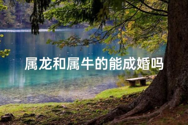 属龙和属牛的八字合吗 属龙和属牛的八字合吗