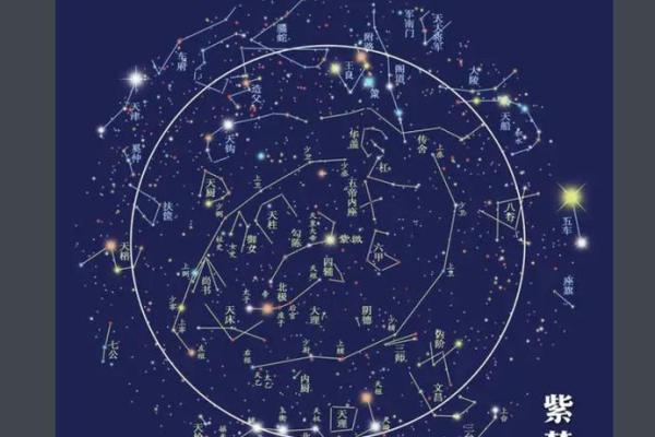 黄老师紫薇斗数