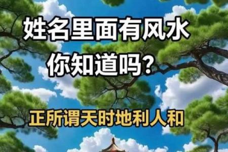 姓名风水_大家取名都是怎么取的啊