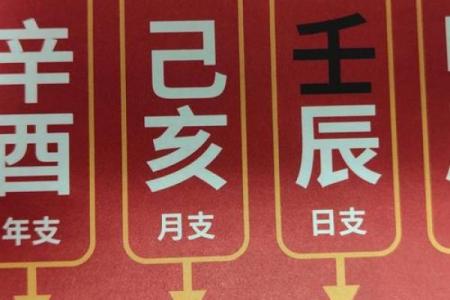 酉戌害八字