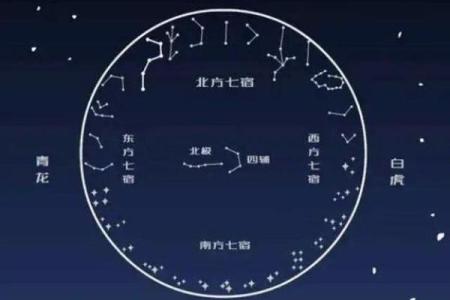 紫薇星盘看天盘还是地盘