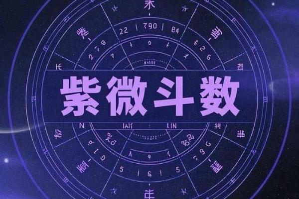 天宫紫薇斗数