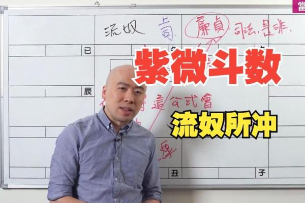 陈明业紫薇斗数