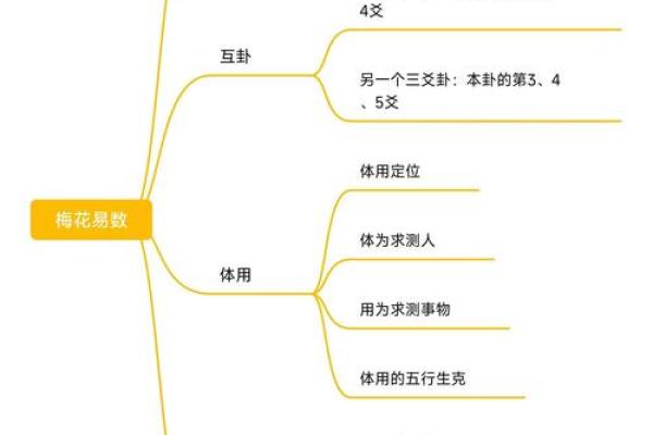 梅花易数和八字有啥区别