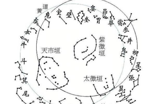 紫薇斗数中的年解