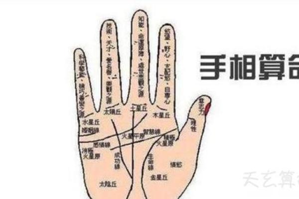手相图解大全女右手算命 看手相算命图解女性右手