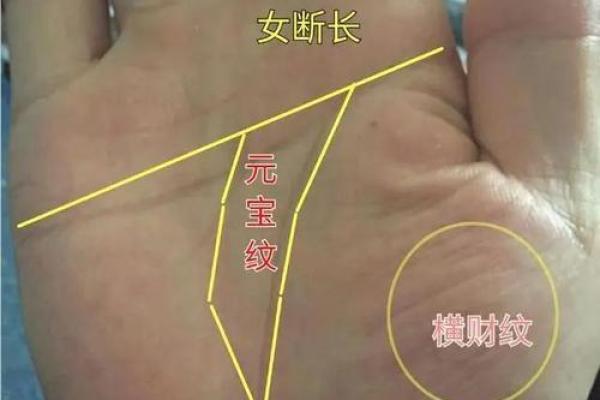 手相图解大全女右手算命 看手相算命图解女性右手