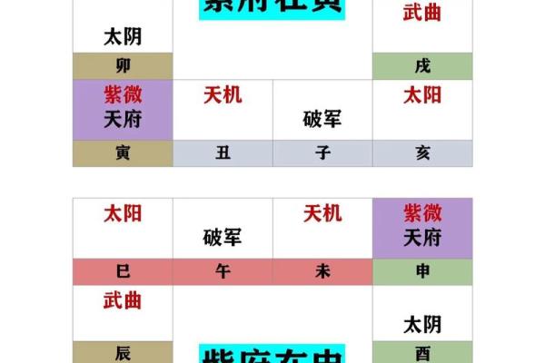 紫薇斗数太阴在戌