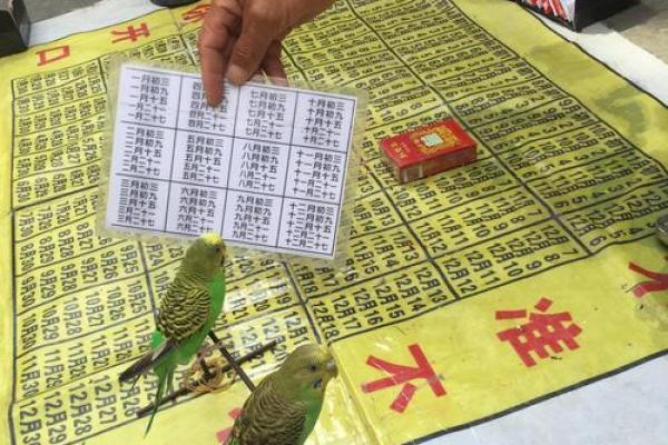 通州区哪里有算命的