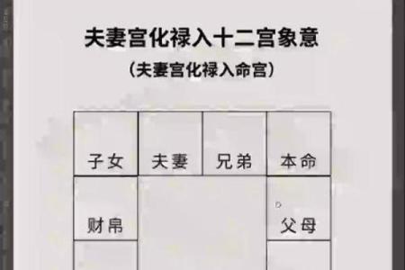 紫微斗数官禄宫天姚
