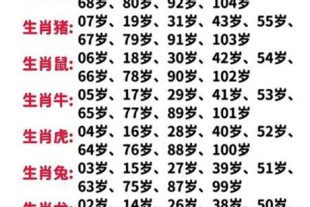 生辰八字生肖
