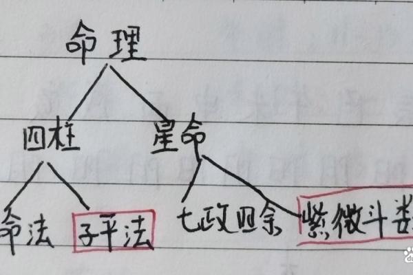 不老的八字