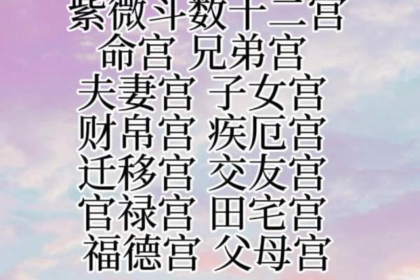 紫薇斗数怎么看有没有小孩