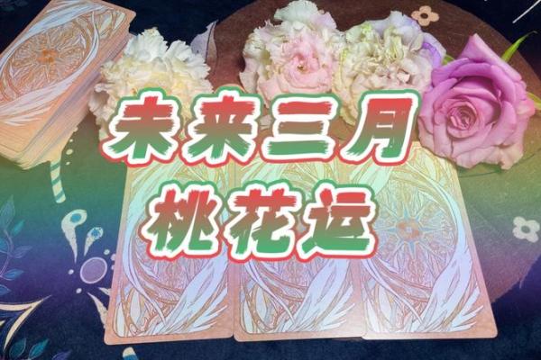 塔罗测试：十二月桃花运？