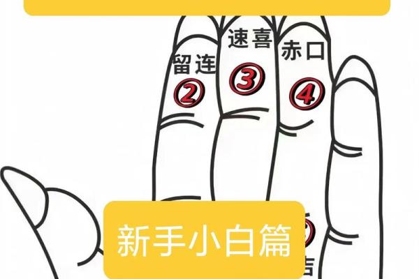 算命如何说六指