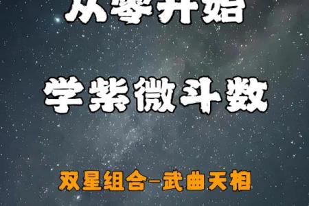 紫微斗数－天相星