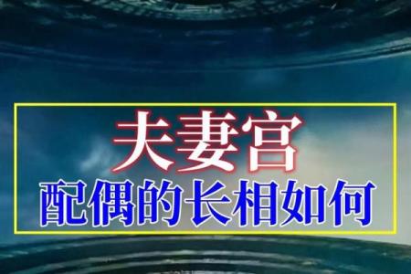 紫薇斗数夫妻宫乙未什么意思