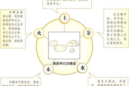 五行金命的人家里不能放什么风水禁忌