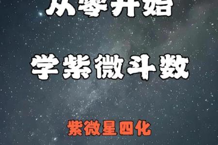 紫微斗数紫薇星