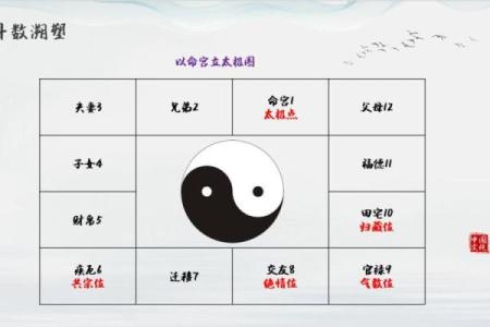 紫薇斗数阴阳属性