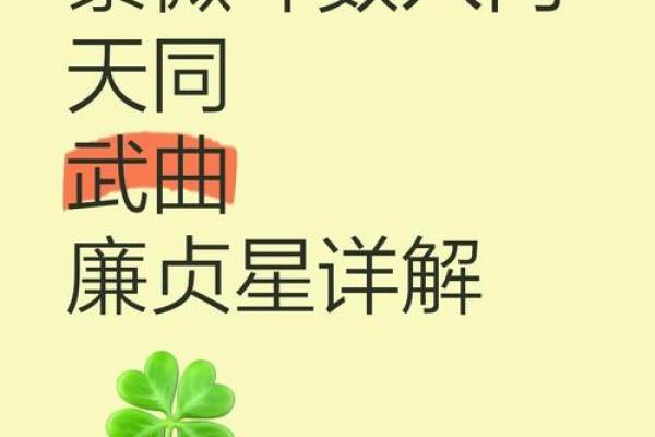 紫微斗数廉贞化气 紫微斗数廉贞化禄？